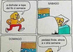 Enlace a Otro fin de semana apasionante