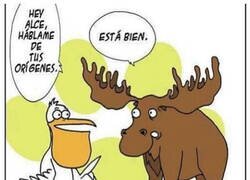 Enlace a La tontería del día