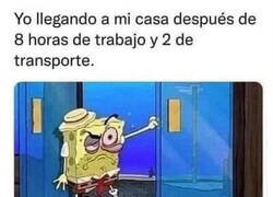 Enlace a Esto no es vida