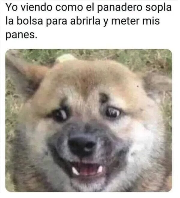 Meme_otros - Poco higiénico