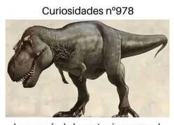 Enlace a ¿Sabías qué...?