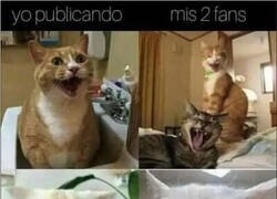 Enlace a Para mis dos folowers