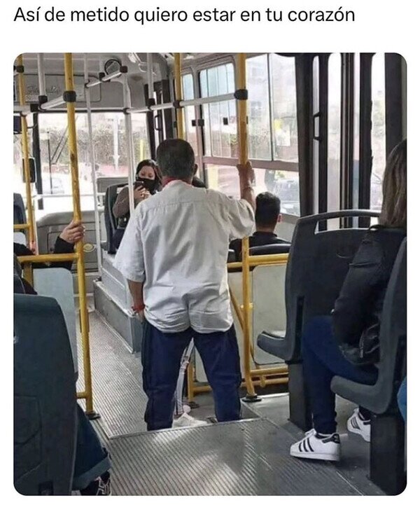 Meme_otros - Te llevo muy dentro