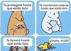 Enlace a No todas las crías aprenden igual