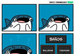 Enlace a El No Binario de los mares