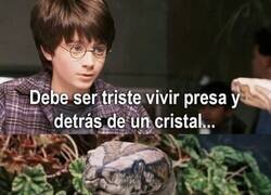 Enlace a No puede hablar mucho