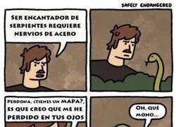 Enlace a Encantador de serpientes