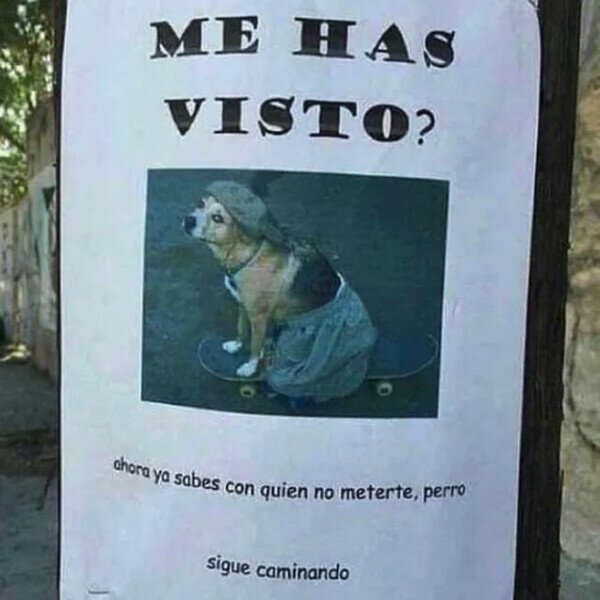 Meme_otros - No se ha perdido, pero puede que tú sí