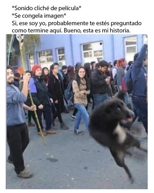 Meme_otros - Así empieza una buena peli