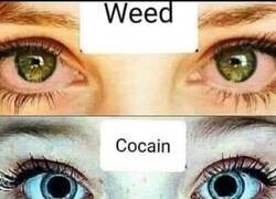 Enlace a La mirada lo dice todo