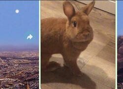 Enlace a Hay dos tipos de personas