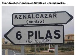 Enlace a Nunca las incluyen