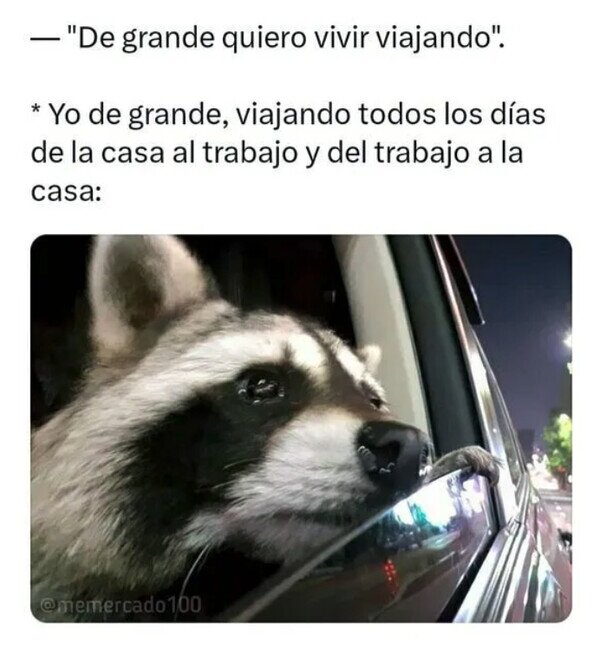 Meme_otros - No me refería a este tipo de viajes