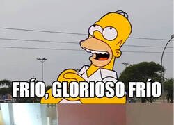 Enlace a Solo por arroparse merece la pena