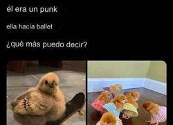 Enlace a Historia de un amor de pollitos