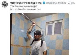 Enlace a ¿Por qué no arranca este bus?