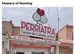 Enlace a En inglés es el Dogtor y en español...