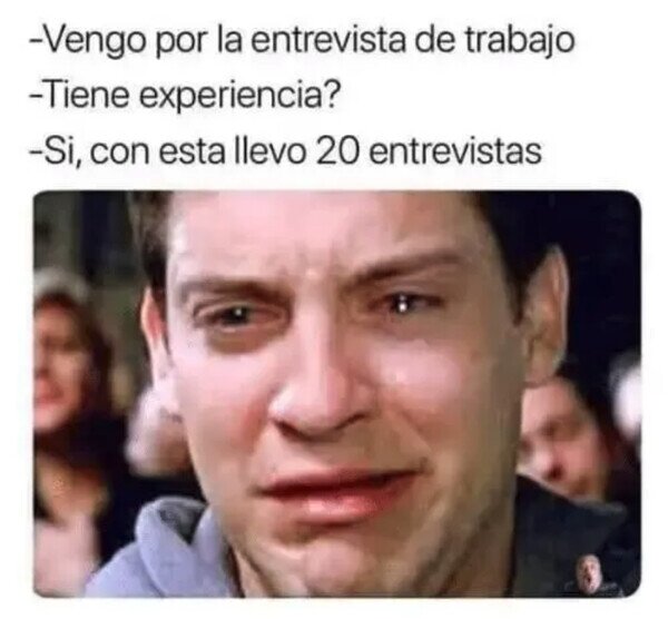 Otros - Por favor, contráteme...