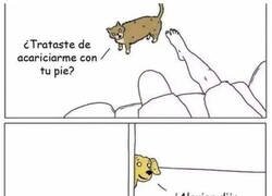 Enlace a Diferencias