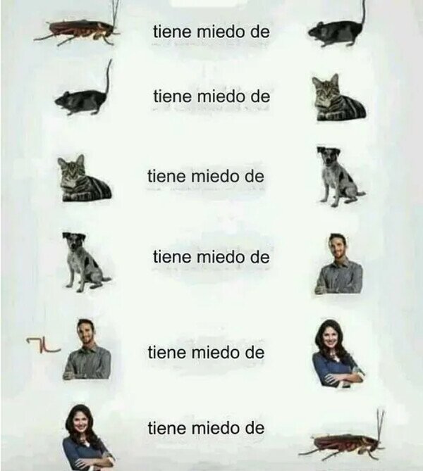 Meme_otros - El ciclo del temor