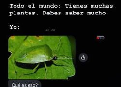 Enlace a Al grande le puse Jonathan