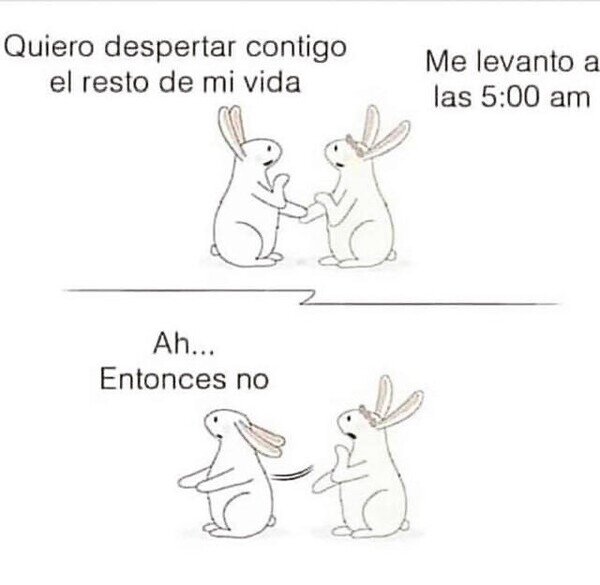 Meme_otros - Amor imposible