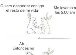 Enlace a Amor imposible