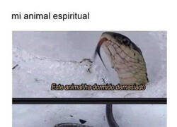 Enlace a Si fuera un animal