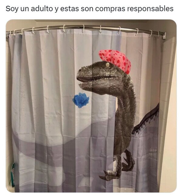 Meme_otros - Realmente lo necesitaba