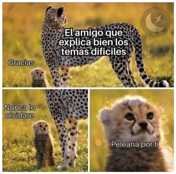 Otros - Ese amigo vale oro