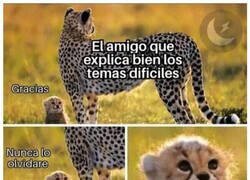 Enlace a Ese amigo vale oro