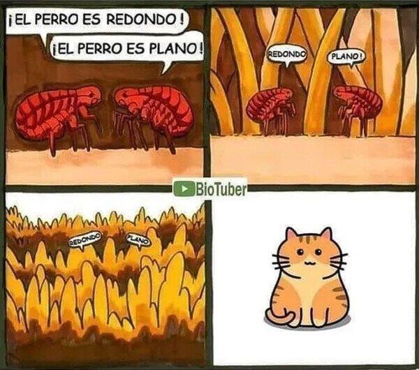 Otros - Todos pueden estar equivocados