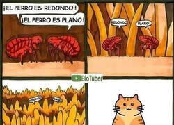 Enlace a Todos pueden estar equivocados