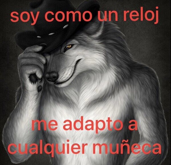 Meme_otros - Todo un truhan