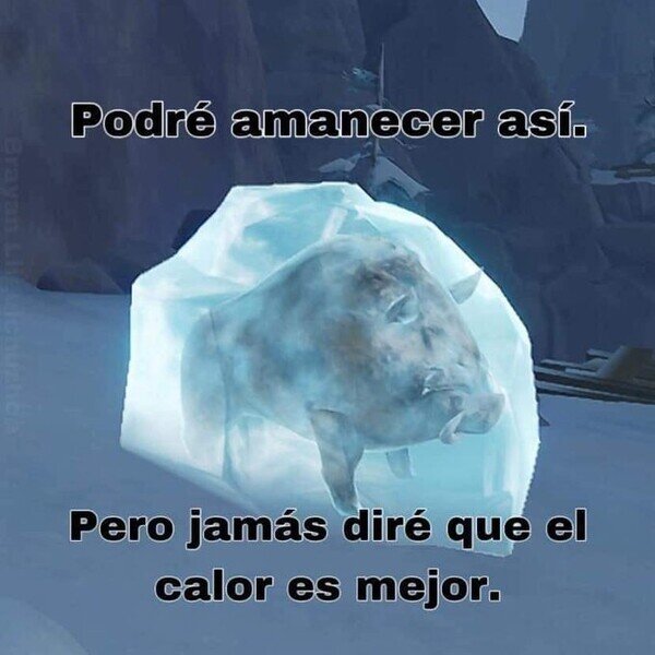 Meme_otros - Los tozudos del team frío