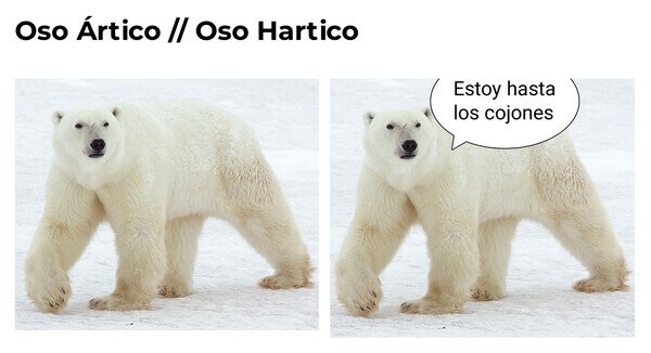 Otros - Se parecen pero no son lo mismo