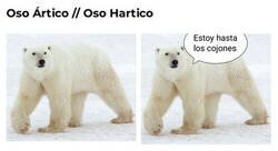 Enlace a Se parecen pero no son lo mismo