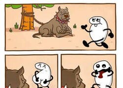 Enlace a ¡Cuidado con el perro!