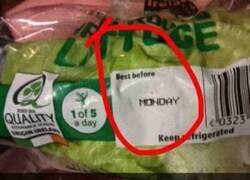 Enlace a ¿Qué lunes?