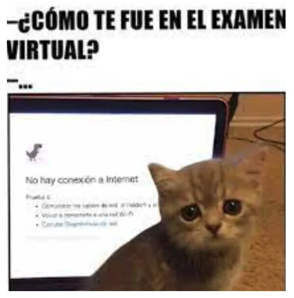 examen,virtual,conexión,internet