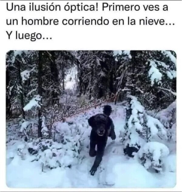 correr,nieve,hombre,perro