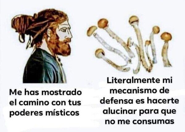 Meme_otros - No están hechas para el consumo