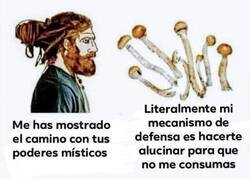 Enlace a No están hechas para el consumo