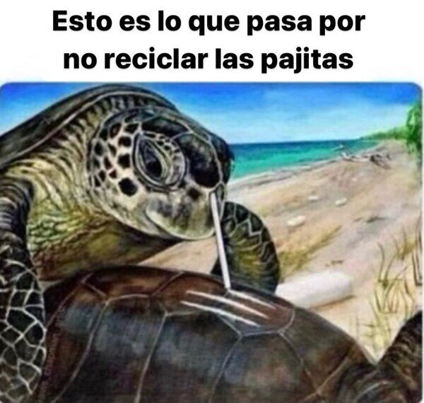 pajitas,reciclar,mar,tortugas,mal