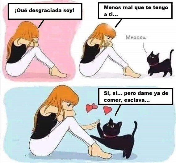 chica,desgraciada,comer,gato