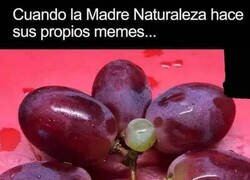 Enlace a Yo lo entendí