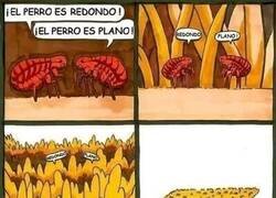 Enlace a Siguen tan equivocados...