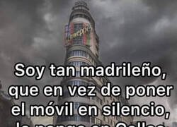 Enlace a Madrileño de pura cepa