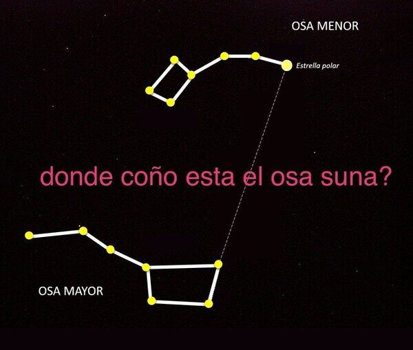 osa mayor,osa menor,Osasuna,constelaciones