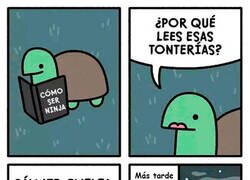 Enlace a Inquietudes de tortuga